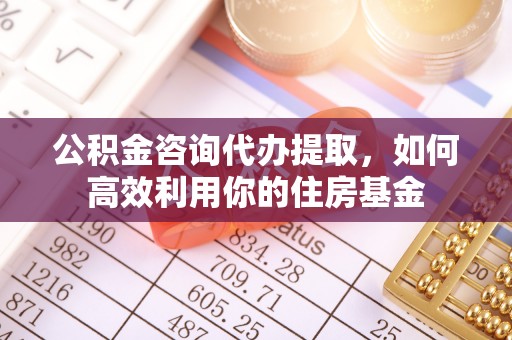 博望公积金咨询代办提取，如何高效利用你的住房基金