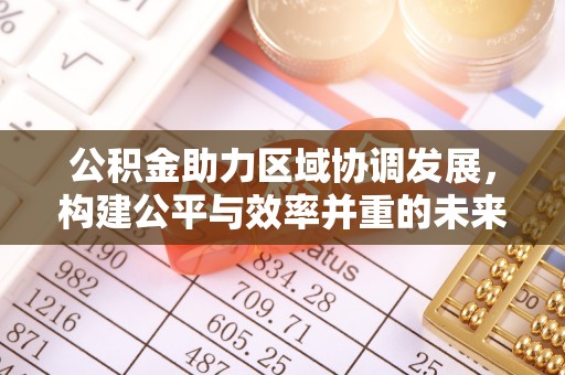 博望公积金助力区域协调发展，构建公平与效率并重的未来