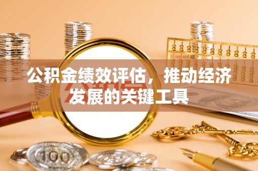 博望公积金绩效评估，推动经济发展的关键工具