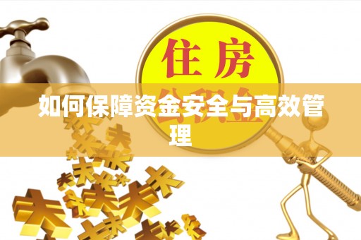 博望如何保障资金安全与高效管理