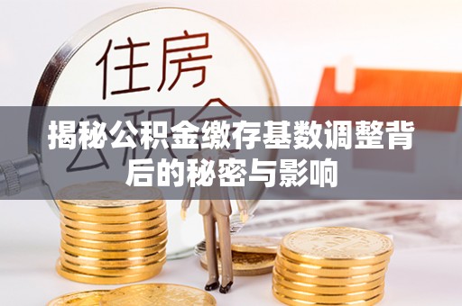 博望揭秘公积金缴存基数调整背后的秘密与影响