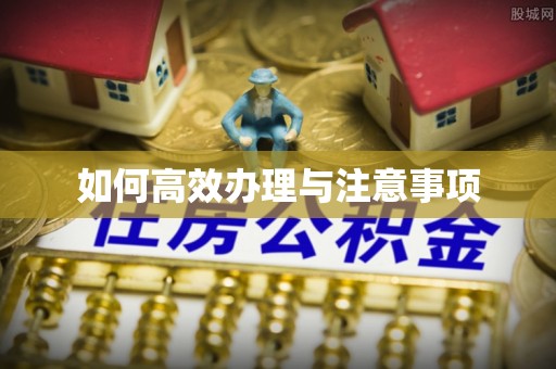 博望如何高效办理与注意事项
