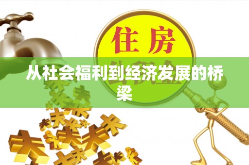 博望从社会福利到经济发展的桥梁