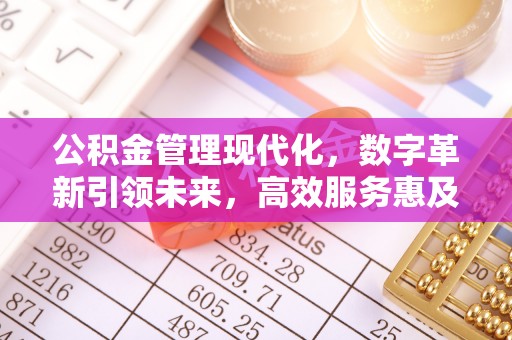 博望公积金管理现代化，数字革新引领未来，高效服务惠及民生