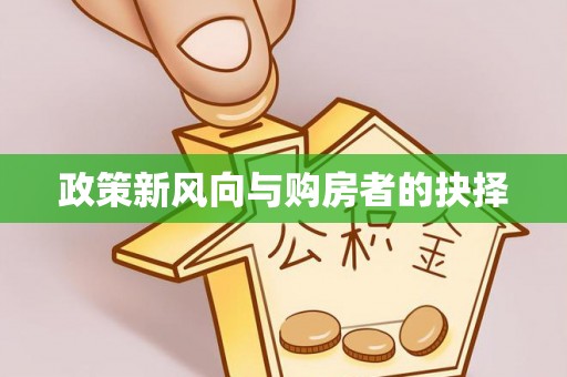 博望政策新风向与购房者的抉择