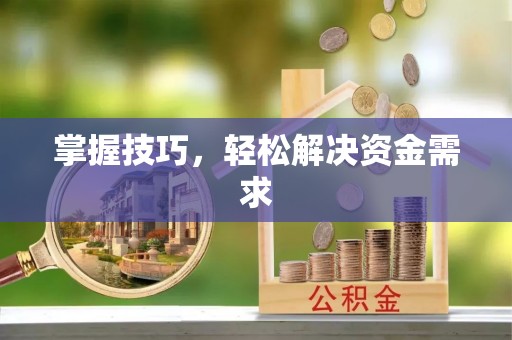 博望掌握技巧，轻松解决资金需求