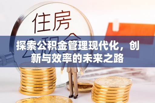 博望探索公积金管理现代化，创新与效率的未来之路