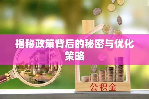 博望揭秘政策背后的秘密与优化策略