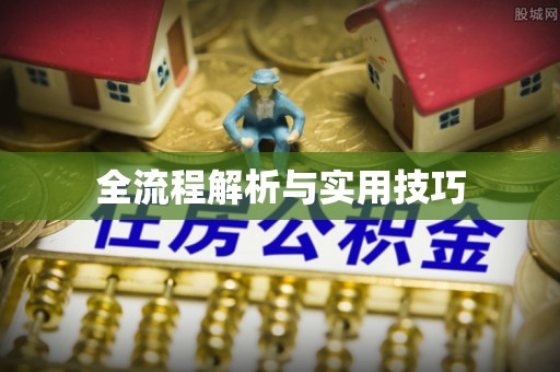 博望全流程解析与实用技巧