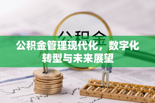 博望公积金管理现代化，数字化转型与未来展望