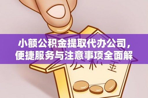 博望小额公积金提取代办公司，便捷服务与注意事项全面解析