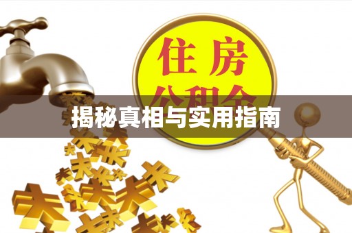 博望揭秘真相与实用指南