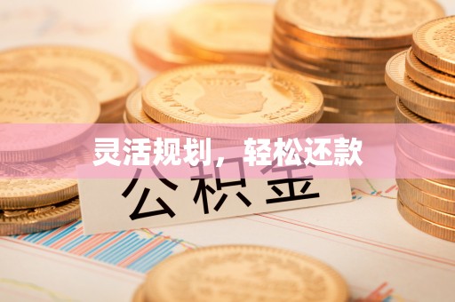 博望灵活规划，轻松还款