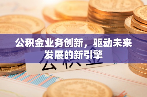 博望公积金业务创新，驱动未来发展的新引擎