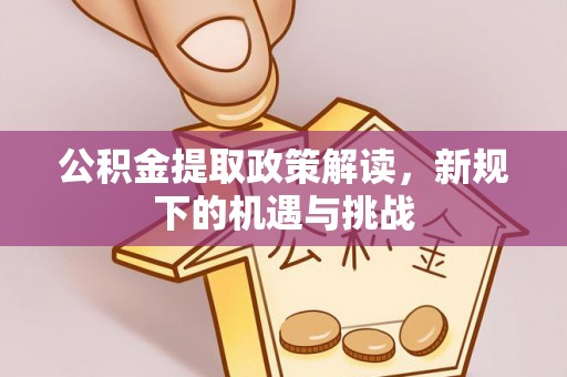 博望公积金提取政策解读，新规下的机遇与挑战