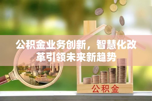 博望公积金业务创新，智慧化改革引领未来新趋势