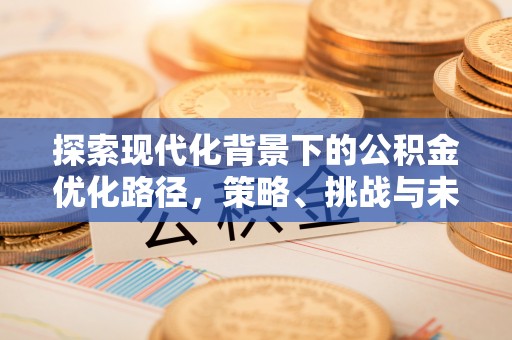 博望探索现代化背景下的公积金优化路径，策略、挑战与未来展望