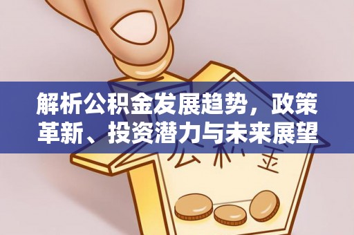 博望解析公积金发展趋势，政策革新、投资潜力与未来展望