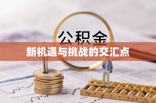 博望新机遇与挑战的交汇点
