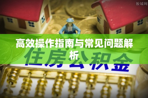 博望高效操作指南与常见问题解析