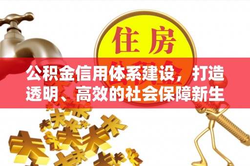博望公积金信用体系建设，打造透明、高效的社会保障新生态
