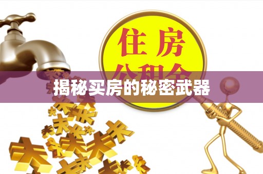 博望揭秘买房的秘密武器