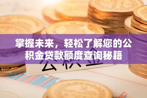 博望掌握未来，轻松了解您的公积金贷款额度查询秘籍