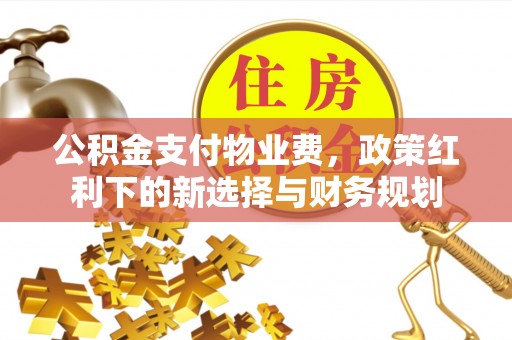 博望公积金支付物业费，政策红利下的新选择与财务规划