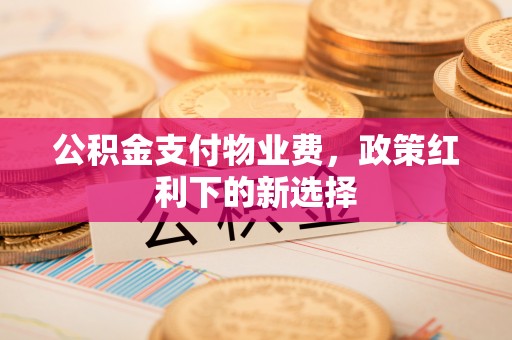 博望公积金支付物业费，政策红利下的新选择