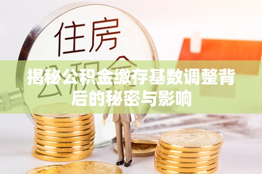 博望揭秘公积金缴存基数调整背后的秘密与影响
