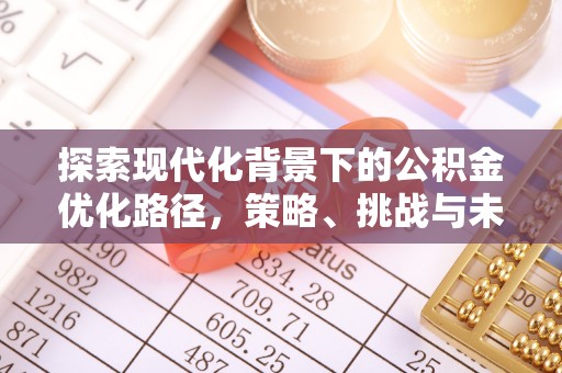 博望探索现代化背景下的公积金优化路径，策略、挑战与未来展望