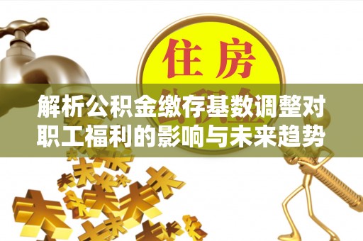 博望解析公积金缴存基数调整对职工福利的影响与未来趋势