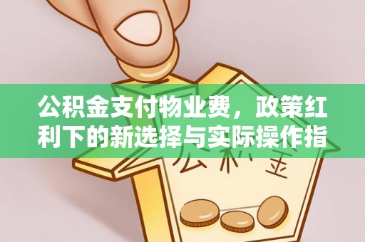博望公积金支付物业费，政策红利下的新选择与实际操作指南
