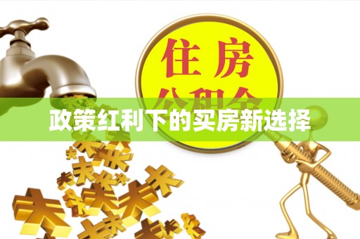 博望政策红利下的买房新选择