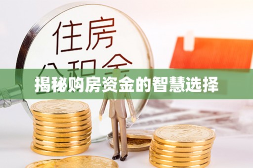 博望揭秘购房资金的智慧选择
