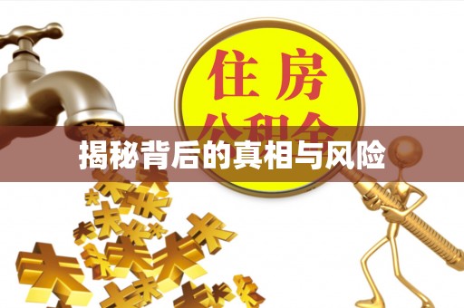 博望揭秘背后的真相与风险