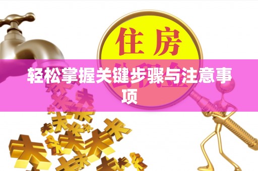 博望轻松掌握关键步骤与注意事项