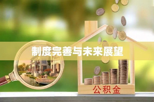 博望制度完善与未来展望