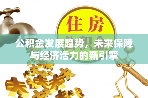 博望公积金发展趋势，未来保障与经济活力的新引擎