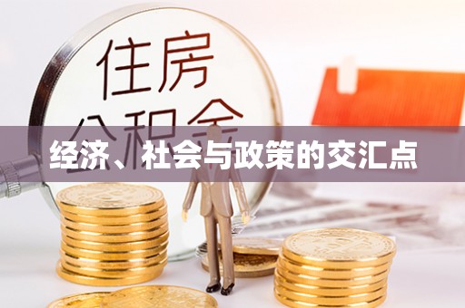博望经济、社会与政策的交汇点