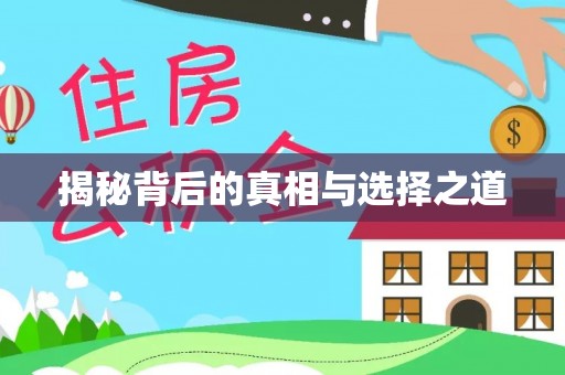 博望揭秘背后的真相与选择之道