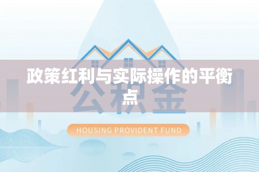 博望政策红利与实际操作的平衡点