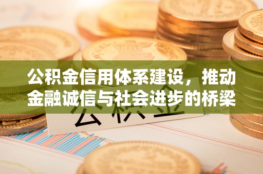 博望公积金信用体系建设，推动金融诚信与社会进步的桥梁