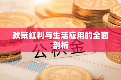 博望政策红利与生活应用的全面剖析