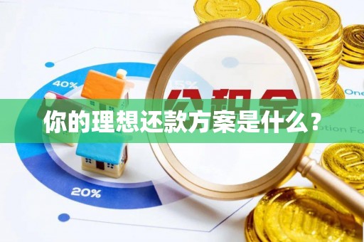 博望你的理想还款方案是什么？