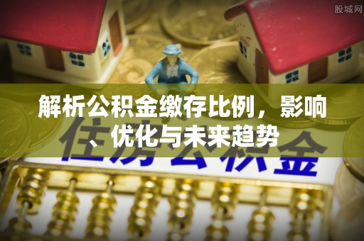博望解析公积金缴存比例，影响、优化与未来趋势
