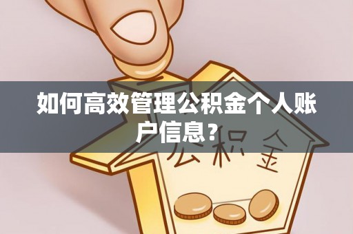 博望如何高效管理公积金个人账户信息？
