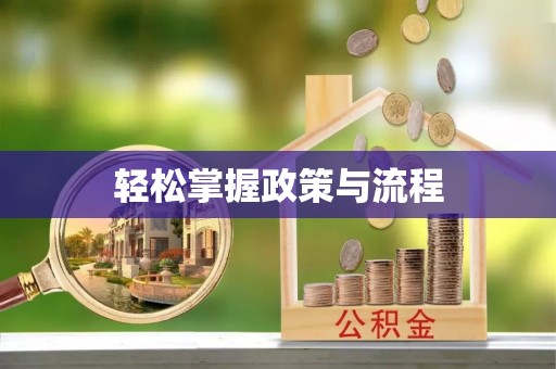 博望轻松掌握政策与流程