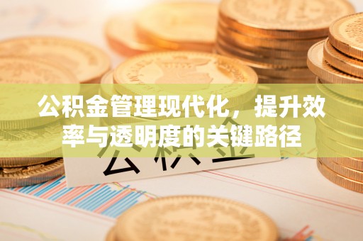 博望公积金管理现代化，提升效率与透明度的关键路径