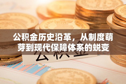 博望公积金历史沿革，从制度萌芽到现代保障体系的蜕变
